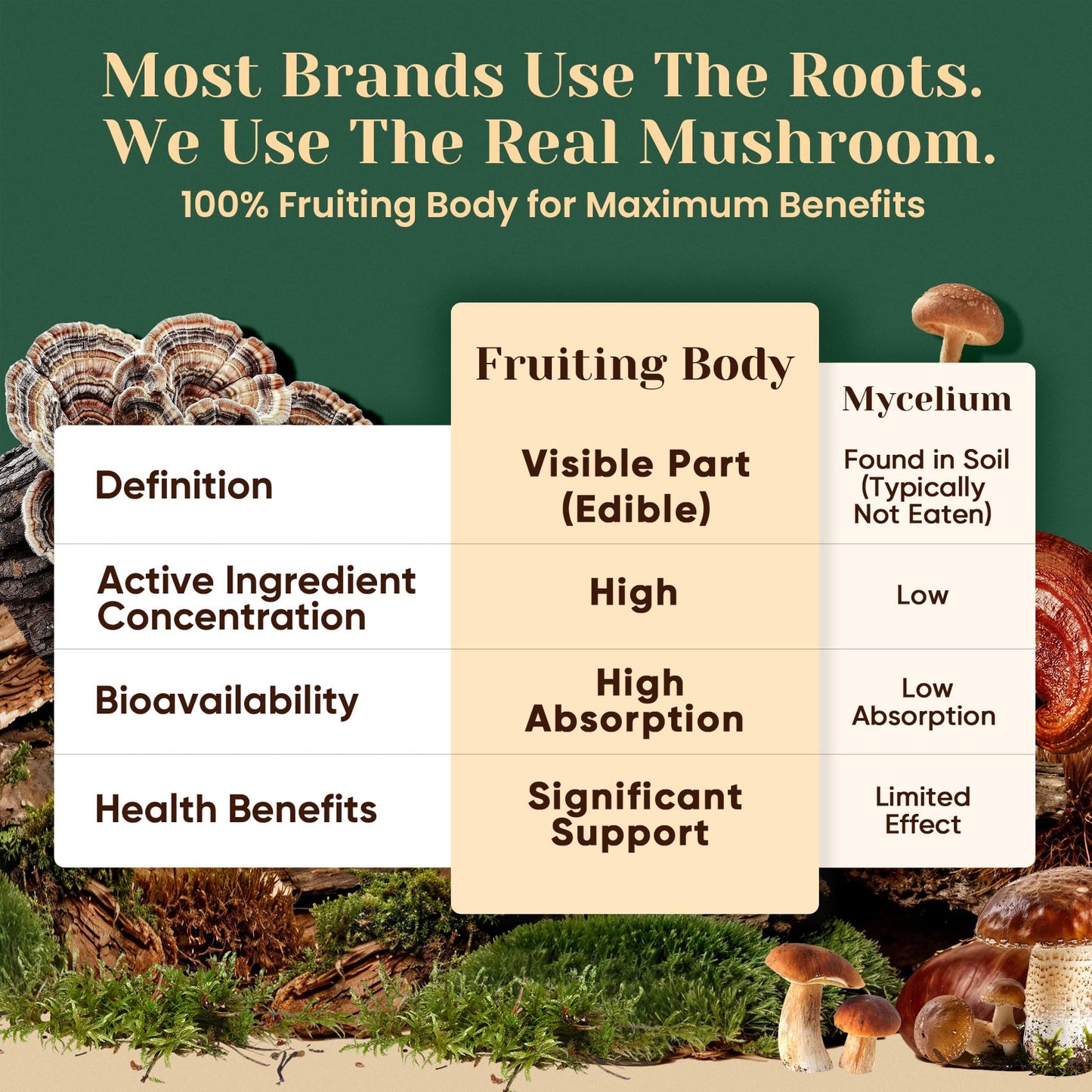 Venture Pal Mushroom Powder – 16 Mushroom Blend with Adaptogens for Coffee & Tea | Ashwagandha, Lion’s Mane, Rhodiola | 10:1 Extract from 100% Fruiting Bodies | 90 Servings